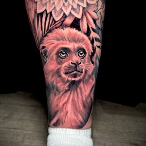 Realism + Black & Grey monkey tattoo on Calf by DTXIII on TattMe