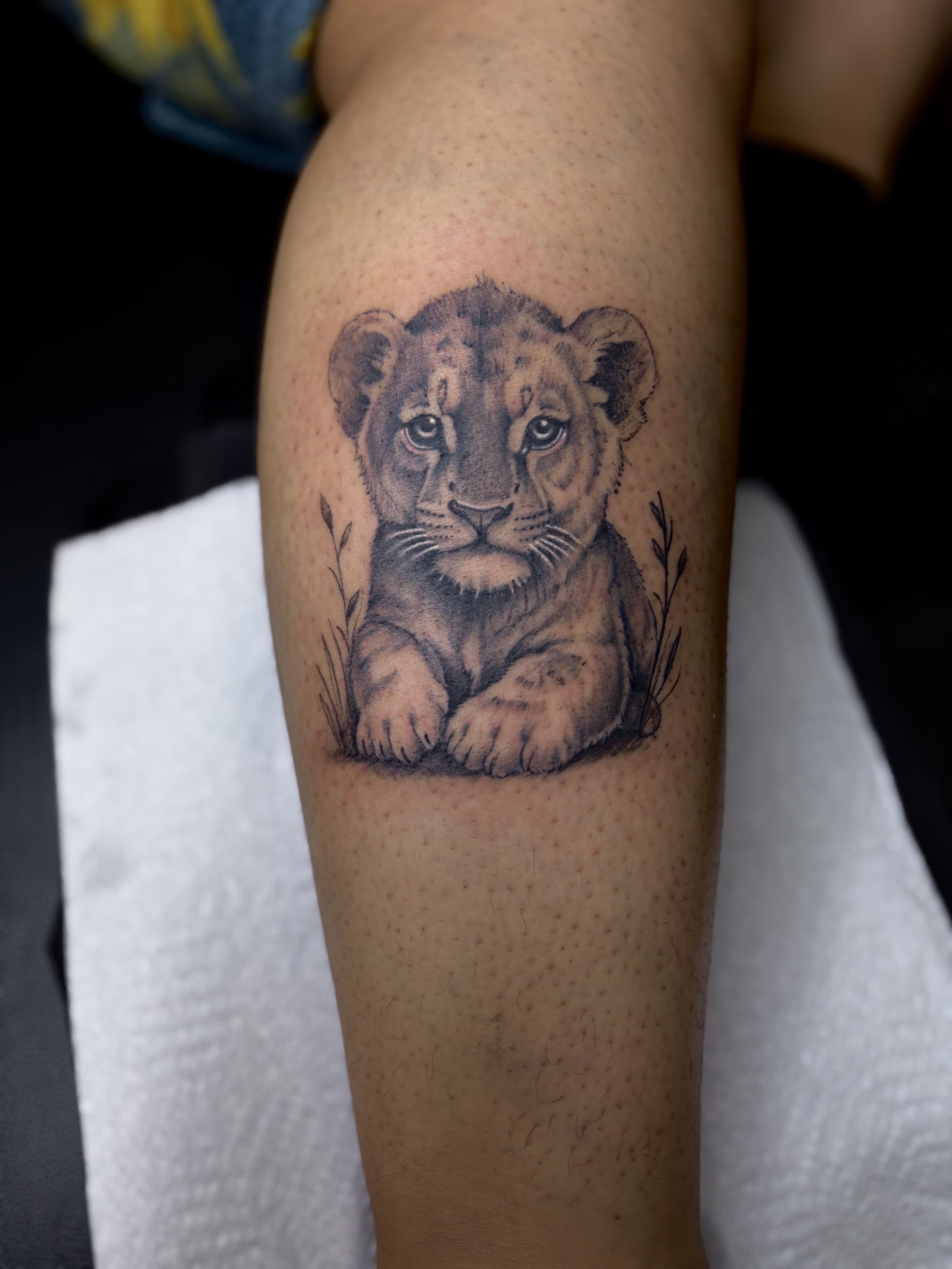 Black & Grey + Realism lion tattoo on Calf by 100inkz on TattMe