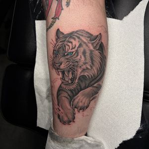 Black & Grey + Realism tiger tattoo on Calf by 100inkz on TattMe