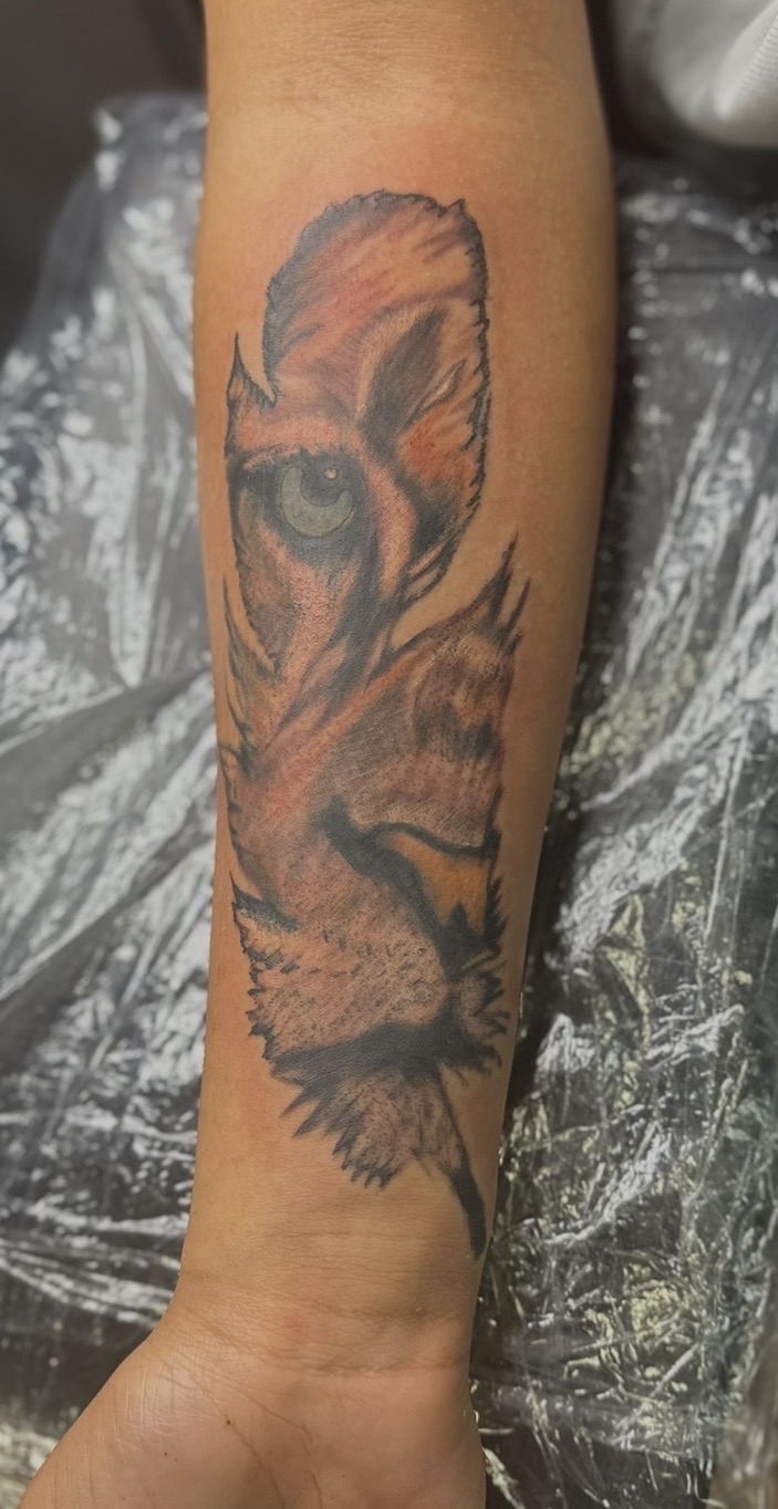 Realism + Color tiger tattoo on Forearm by Patriarch_Tattoo_Company on TattMe