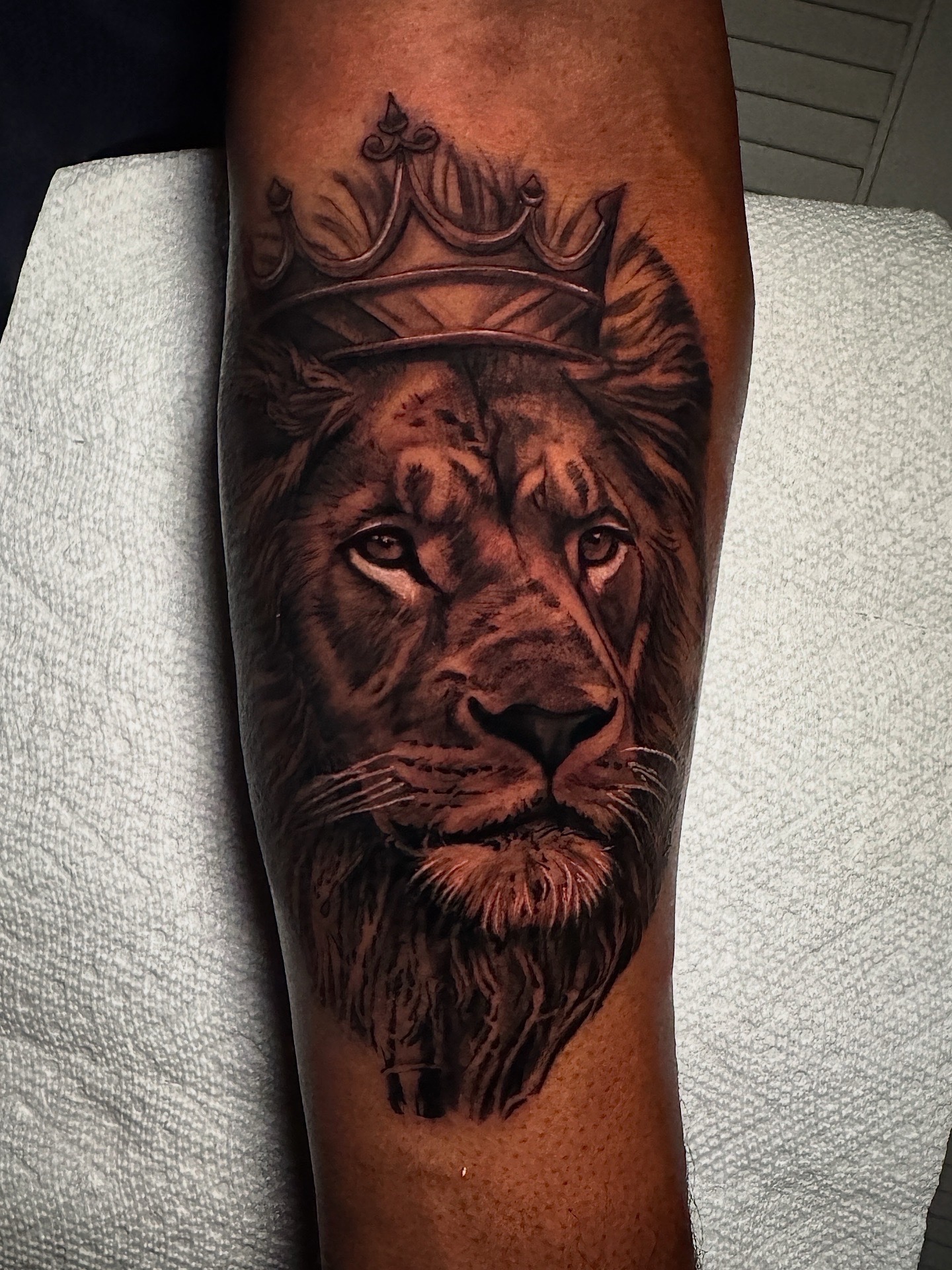 Black & Grey + Realism lion tattoo on Forearm by D-Artist on TattMe