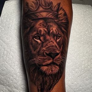 Black & Grey + Realism lion tattoo on Forearm by D-Artist on TattMe