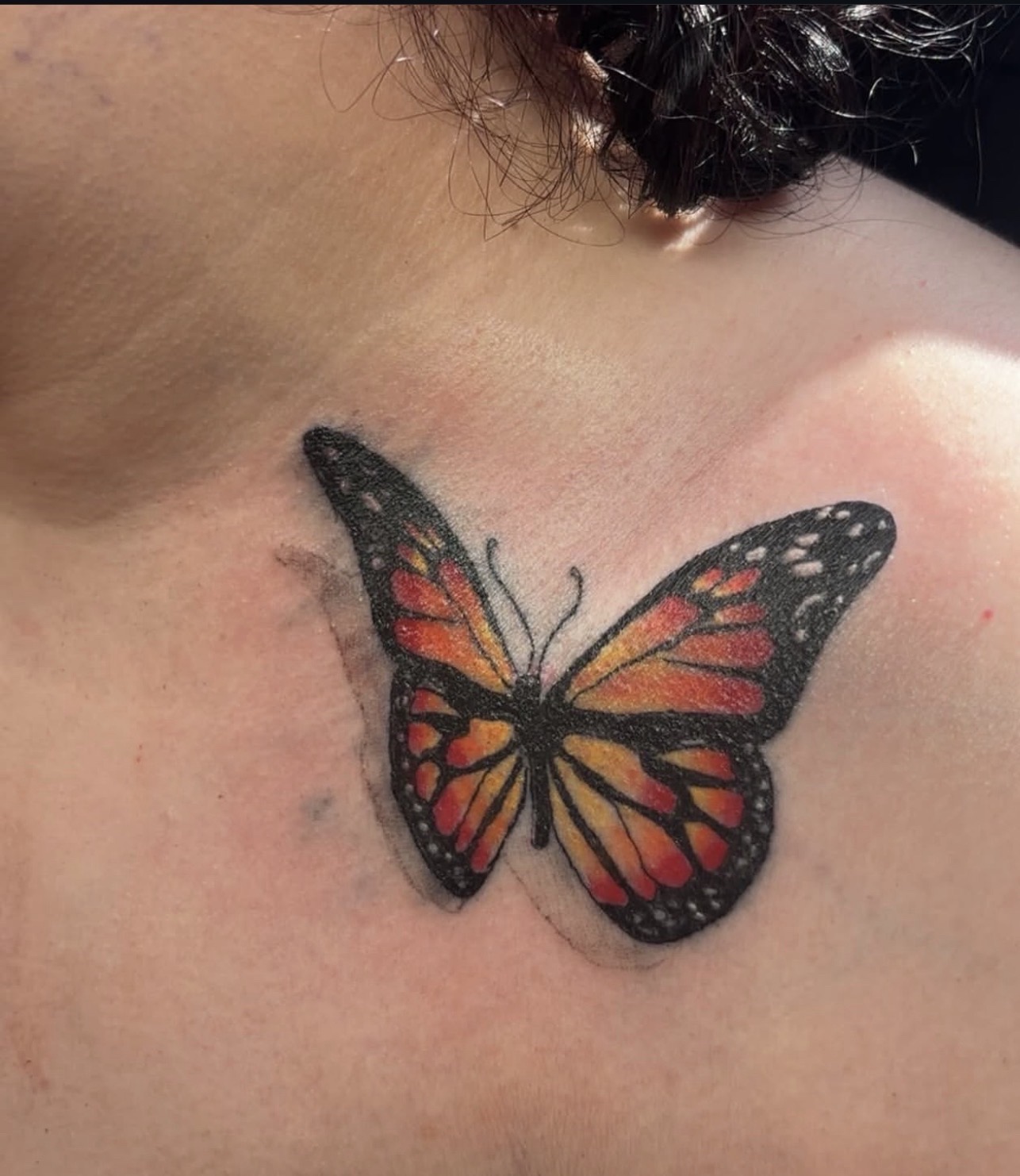 Color + Illustrative butterfly tattoo on Chest by gq_ink on TattMe