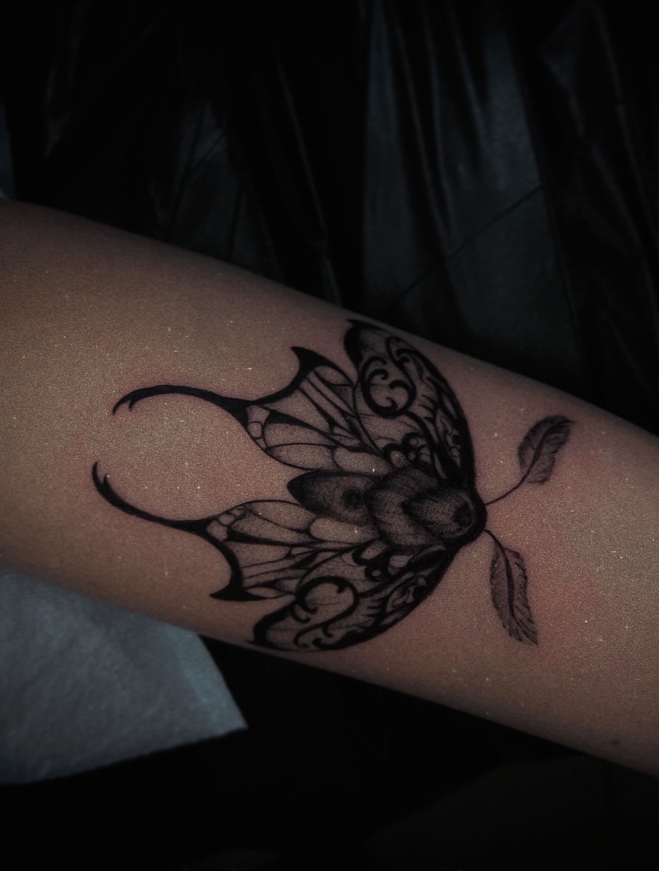 Black & Grey + Fine Line moth tattoo on Forearm by Q_tattoo on TattMe