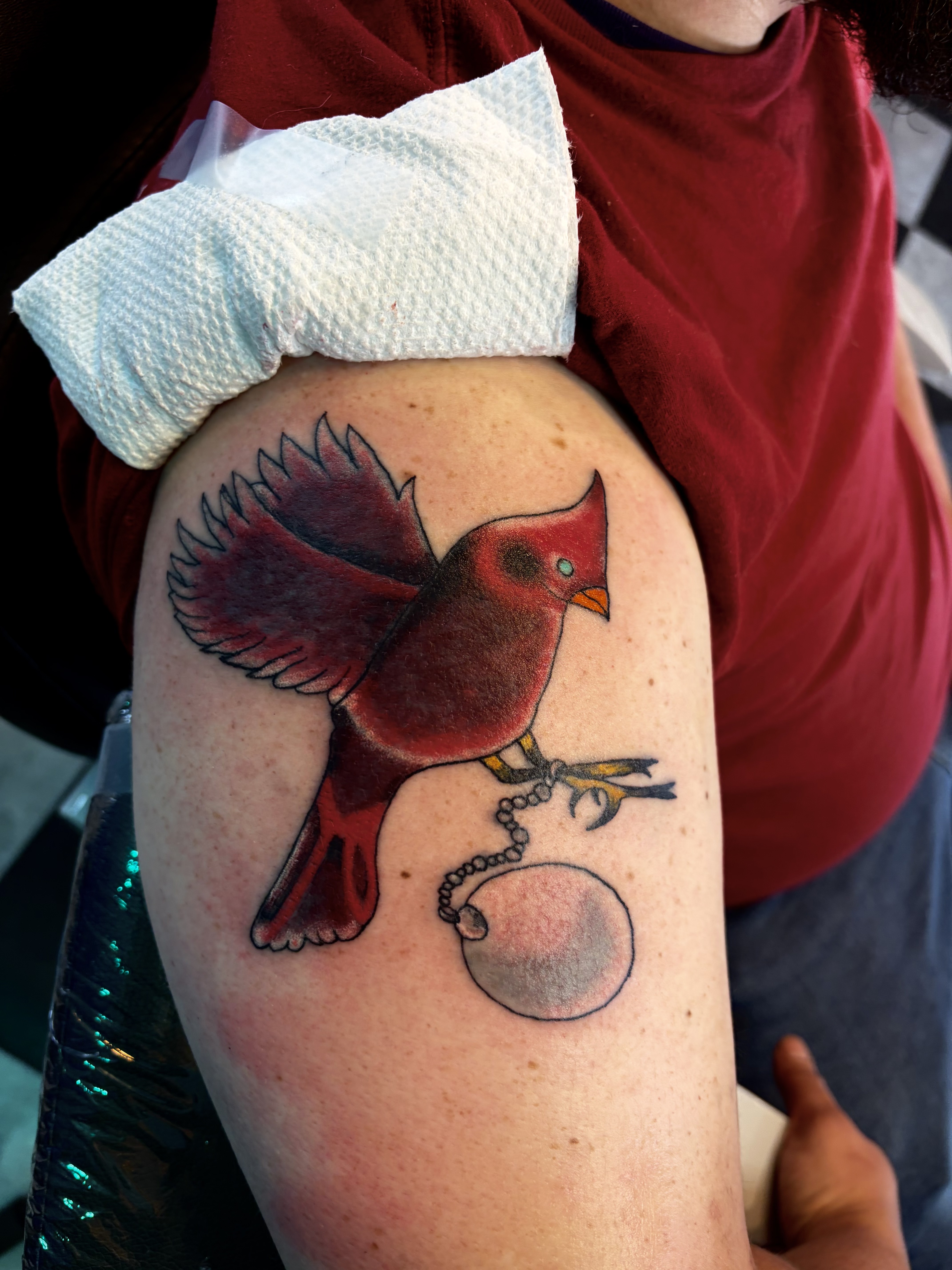 Traditional + Color cardinal tattoo on Upper Arm by Meaney_Tattoos_06 on TattMe
