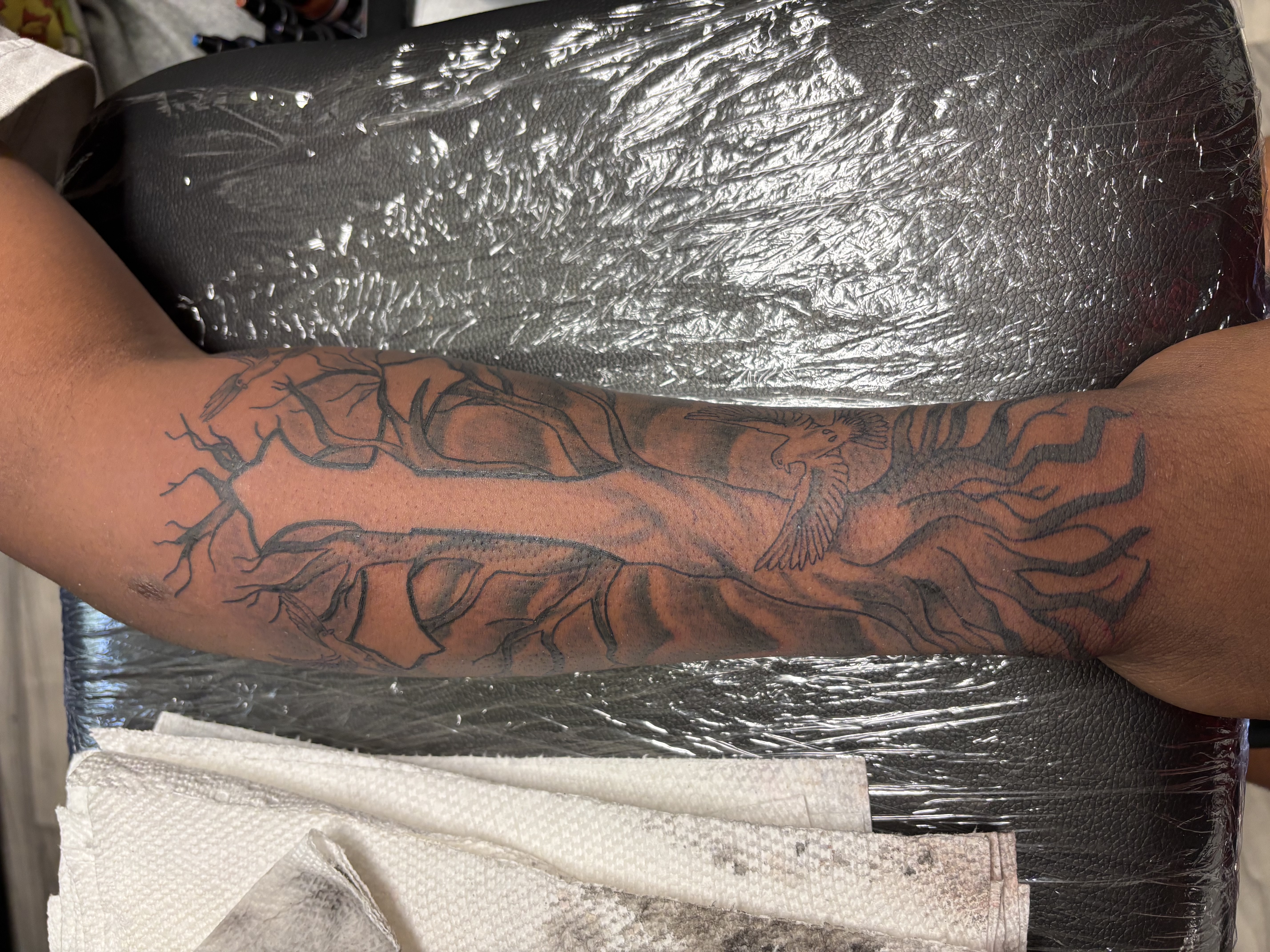 Black & Grey + Illustrative trees tattoo on Forearm by TatsByDaVinci on TattMe